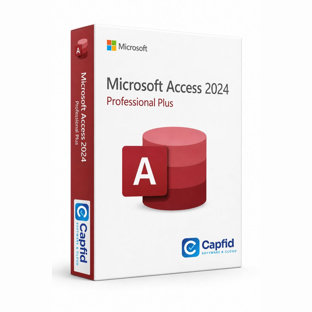 Microsoft Access 2024 – digital license from Capfid