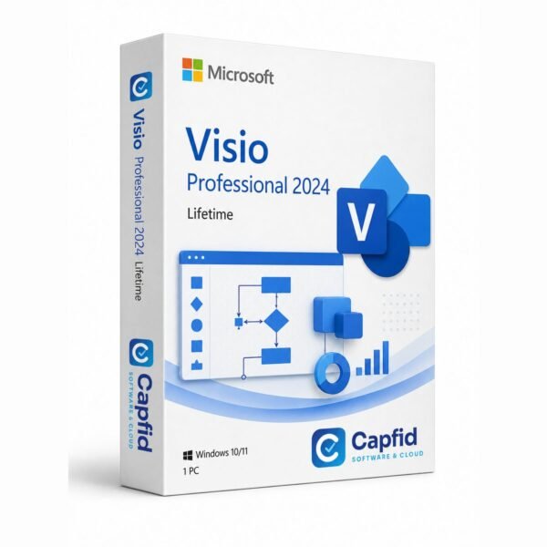 Visio Professional 2024